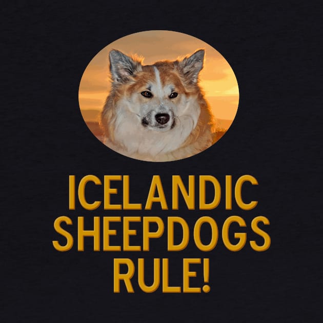 Icelandic Sheepdogs Rule! by Naves